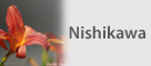 logo de Entreprise Nishikawa