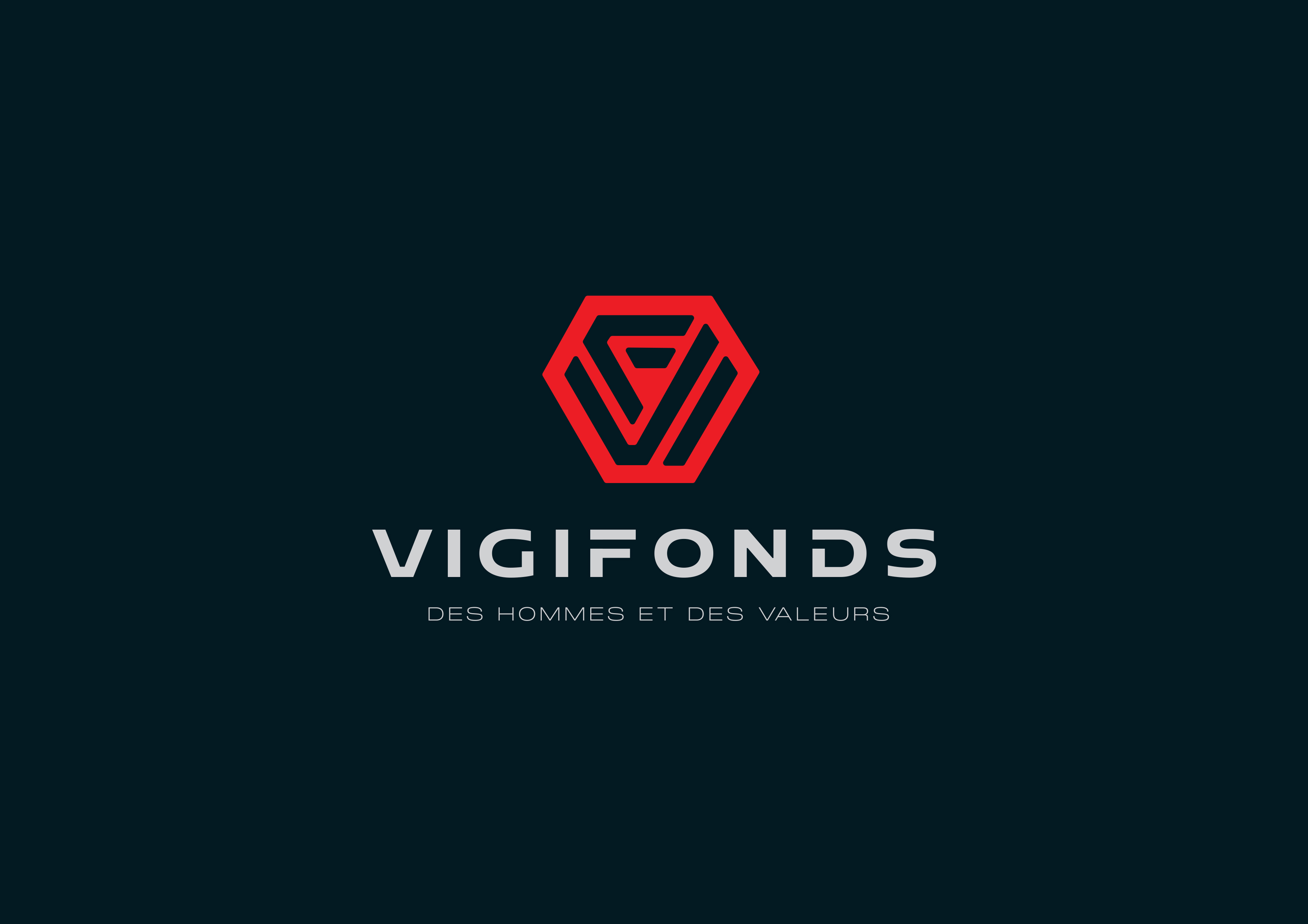 logo de Vigifonds
