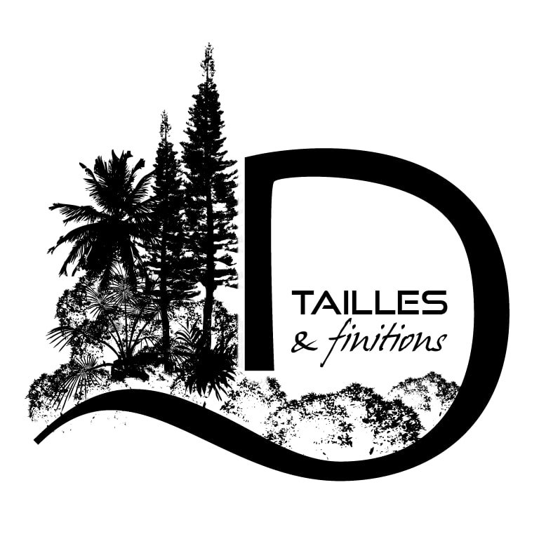 logo de Dtailles & Finitions