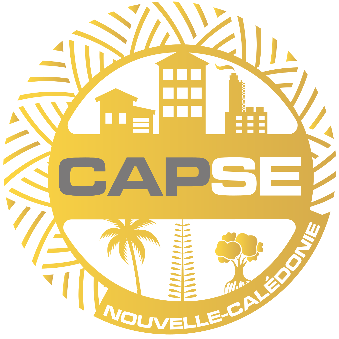 logo de CAPSE NC